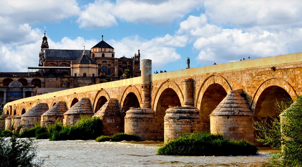 OLE İSPANYA - Görsel 5