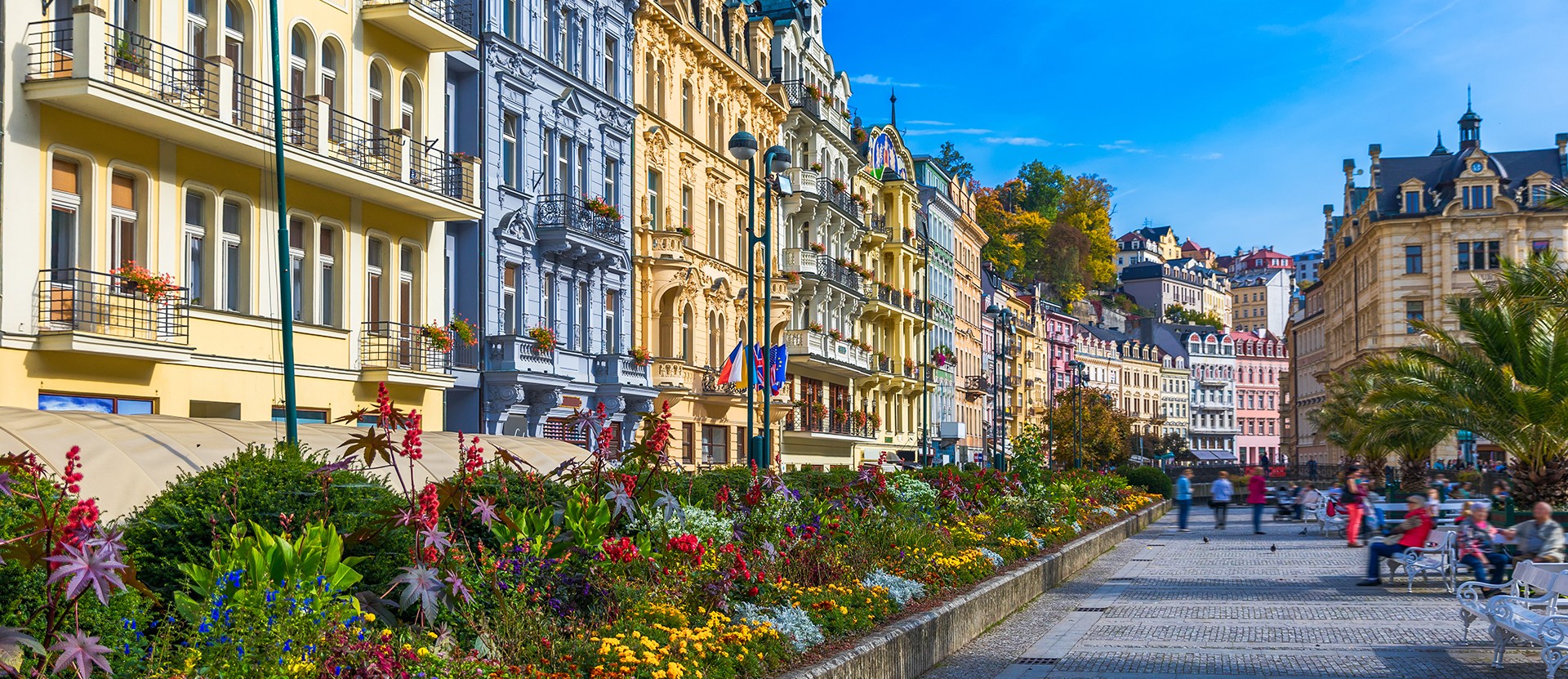 André Rieu ile Orta Avrupa - Görsel 7